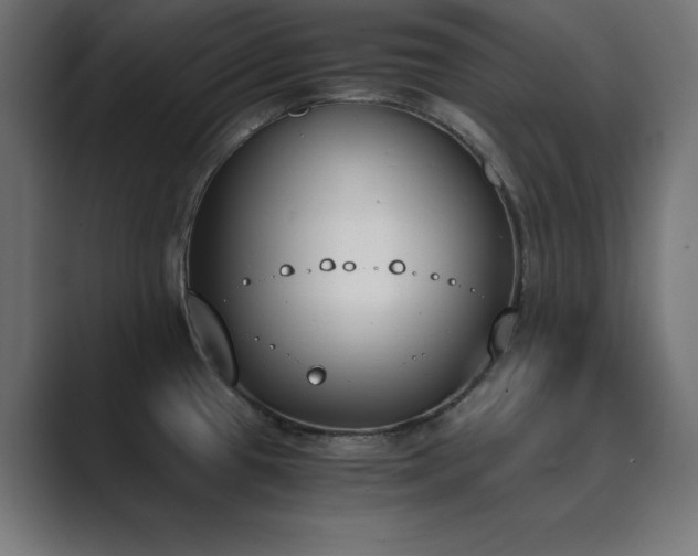 X0000089851433200706281243