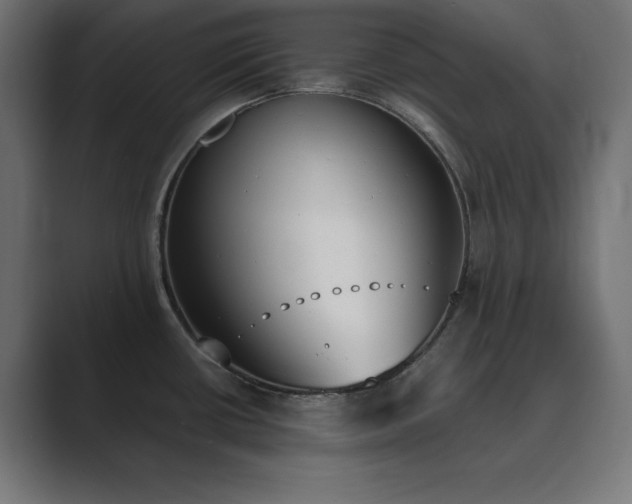 X0000089851434200706281243