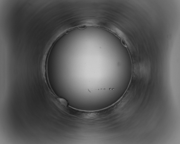 X0000089851435200706281243
