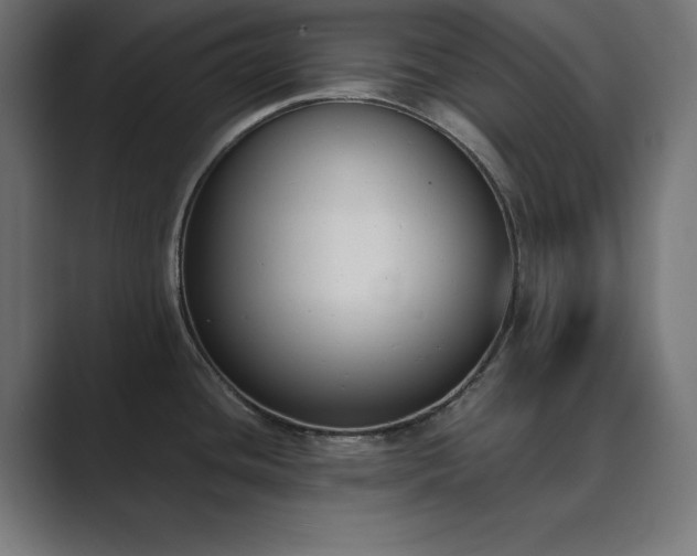 X0000089851436200706281243