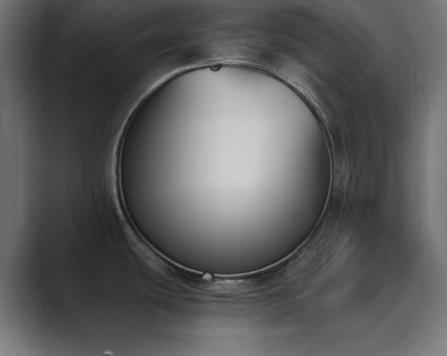X0000089851439200706281243