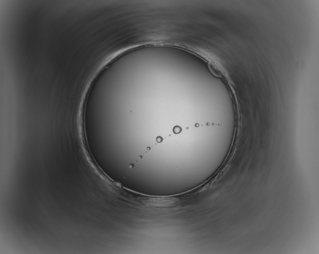 X0000089851440200706281243