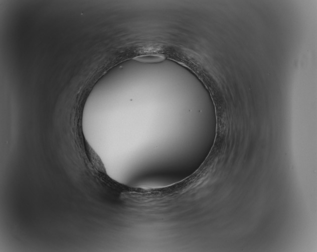 X0000089851441200706281243