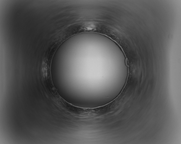 X0000089851442200706281243