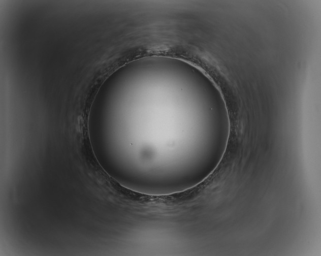 X0000089851445200706281243
