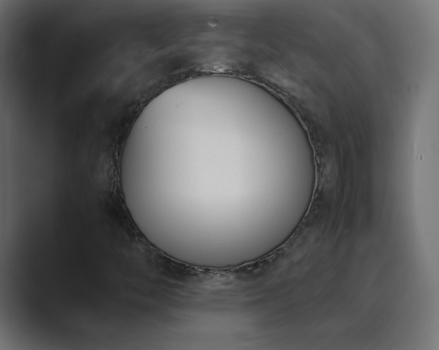 X0000089851446200706281243