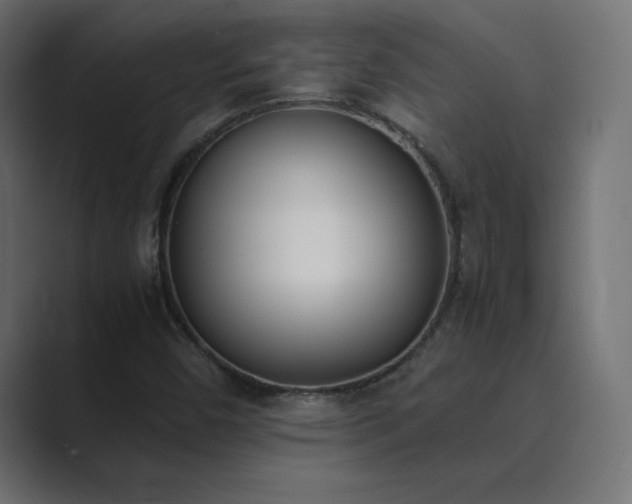X0000089851450200706281242