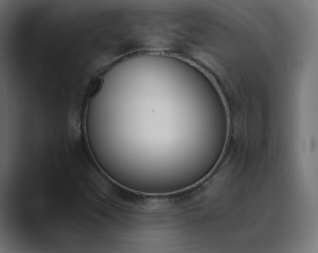 X0000089851451200706281242