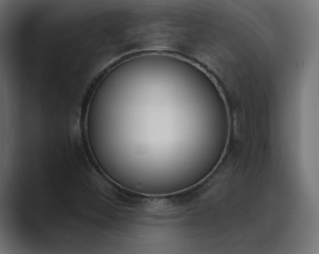 X0000089851452200706281242