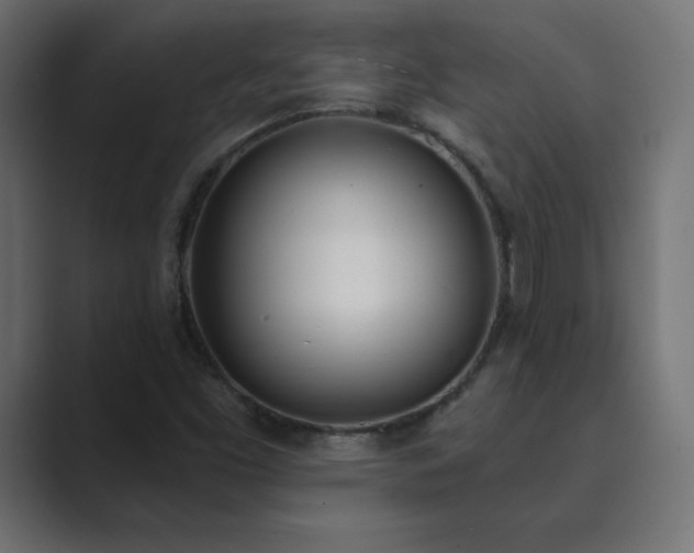 X0000089851453200706281242