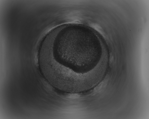 X0000089851455200706281242