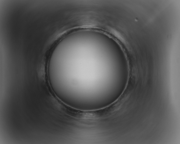 X0000089851456200706281242