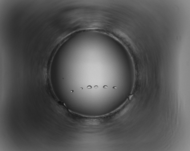 X0000089851457200706281242