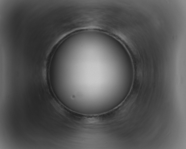 X0000089851460200706281242