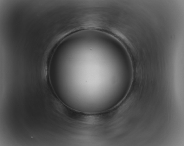 X0000089851461200706281242