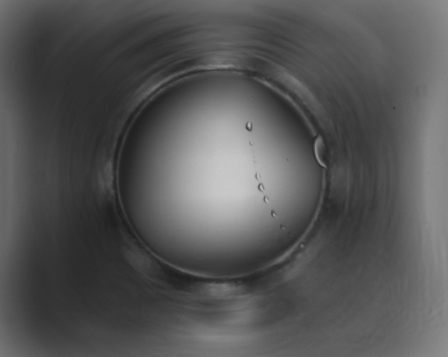 X0000089851465200706281242