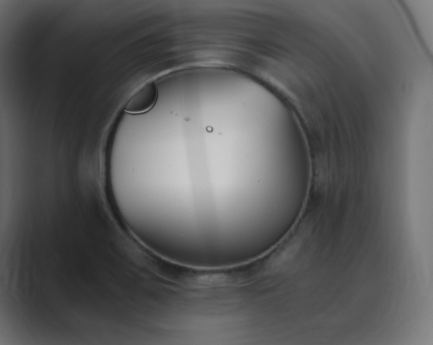 X0000089851467200706281242
