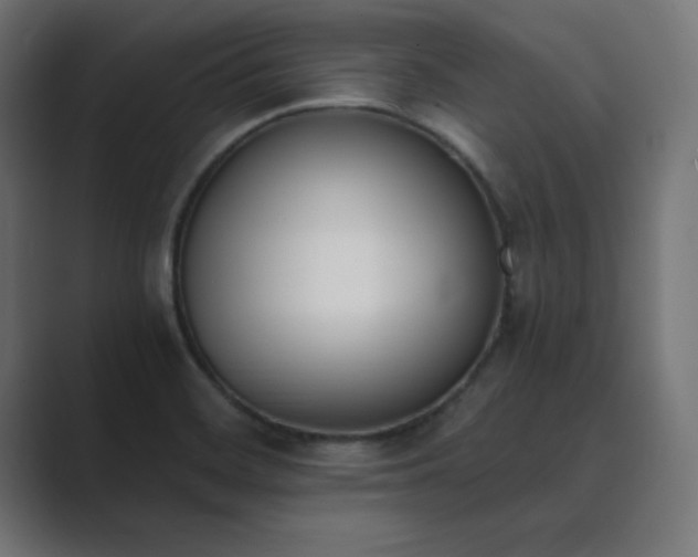 X0000089851468200706281242