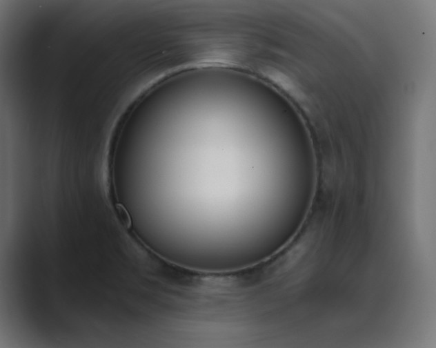 X0000089851469200706281242