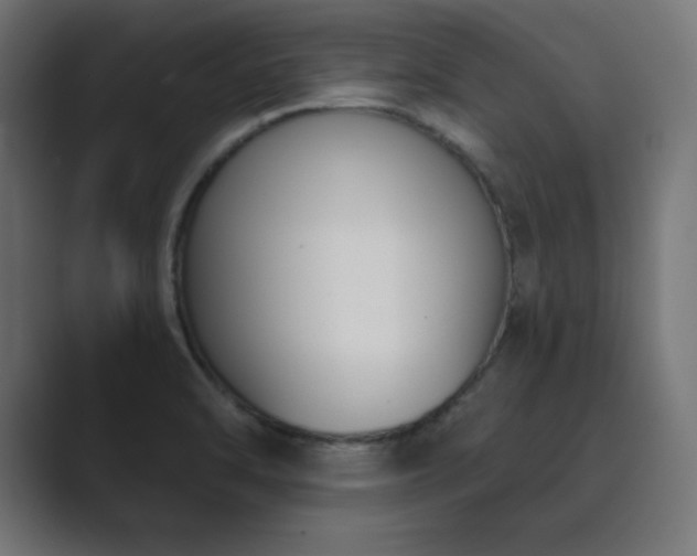 X0000089851470200706281242