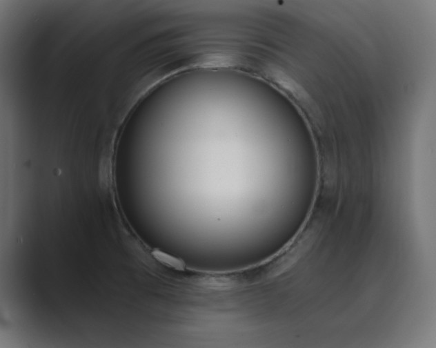 X0000089851473200706281242
