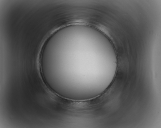 X0000089851474200706281242