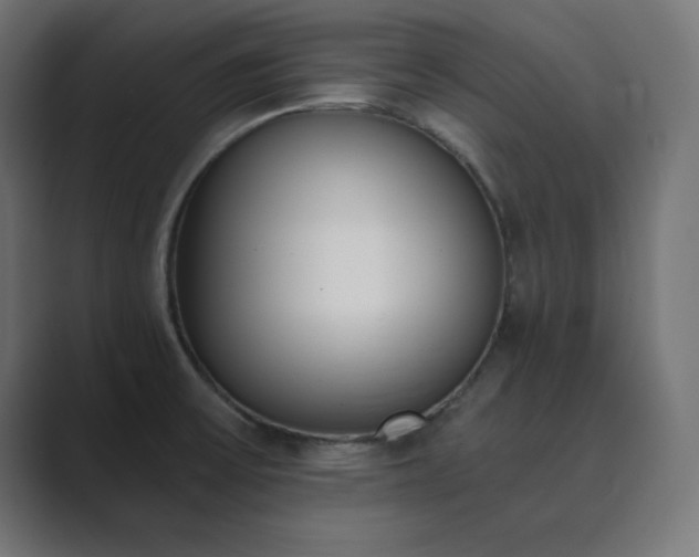 X0000089851475200706281242