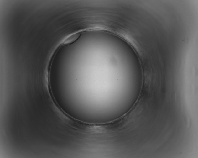 X0000089851476200706281242