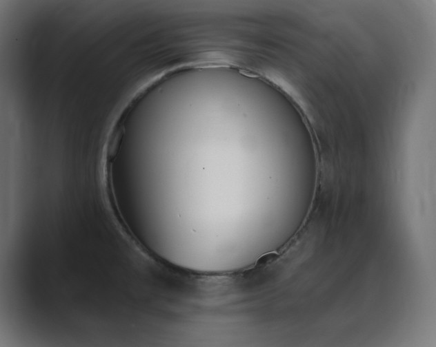 X0000089851477200706281242
