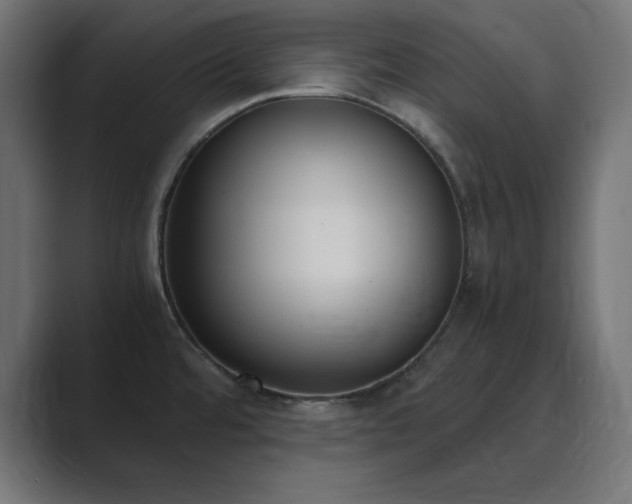 X0000089851480200706281242