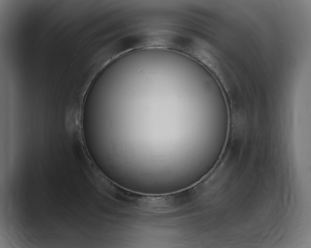 X0000089851481200706281242