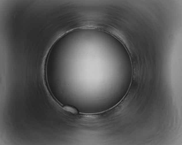 X0000089851483200706281242