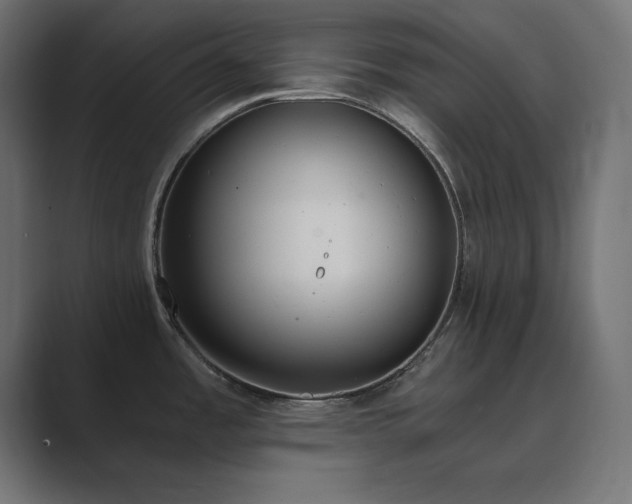 X0000089851485200706281242