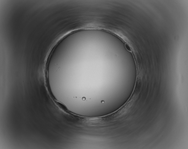 X0000089851486200706281242