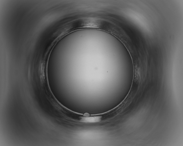 X0000089851487200706281242