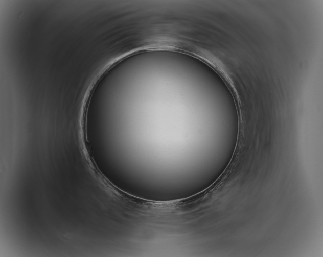 X0000089851488200706281242