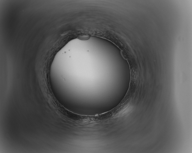 X0000089851489200706281241