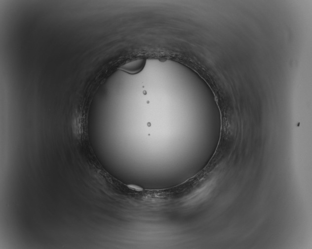 X0000089851490200706281241