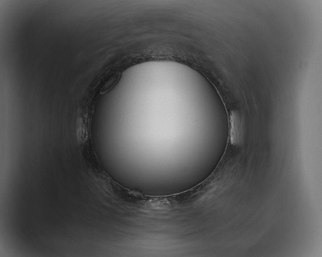 X0000089851491200706281241