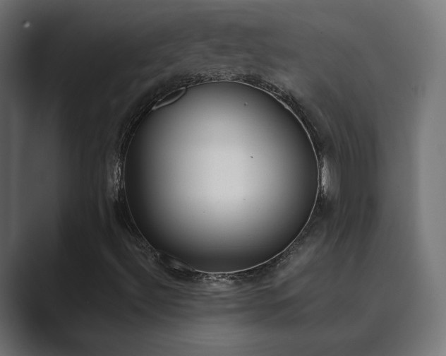 X0000089851492200706281241