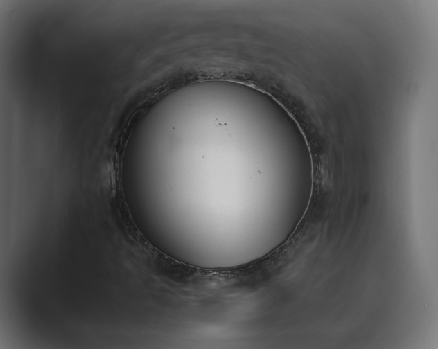 X0000089851493200706281241