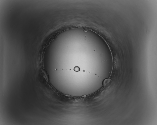 X0000089851494200706281241