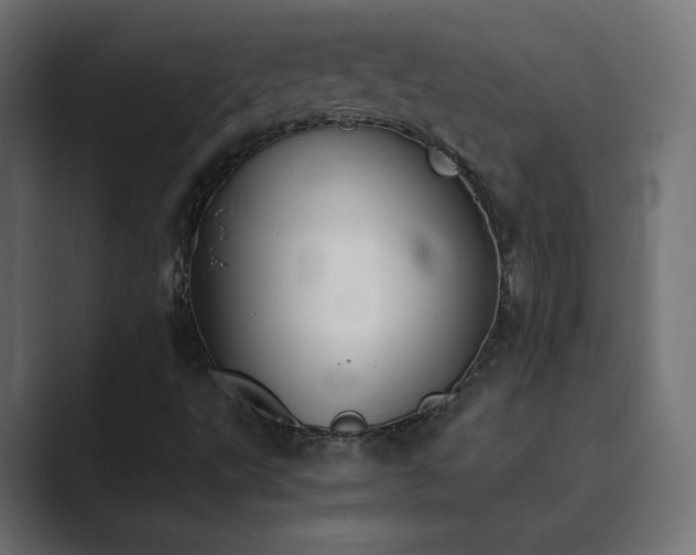 X0000089851495200706281241