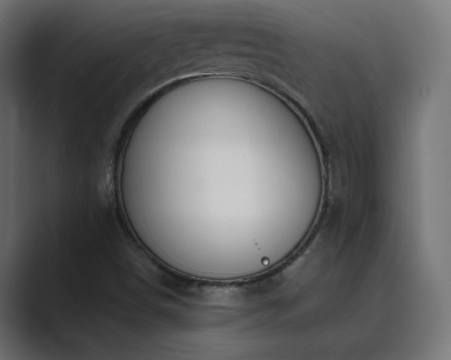 X0000089851498200706281241