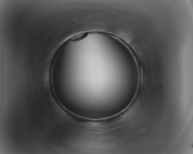 X0000089851500200706281241