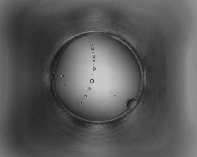 X0000089851501200706281241
