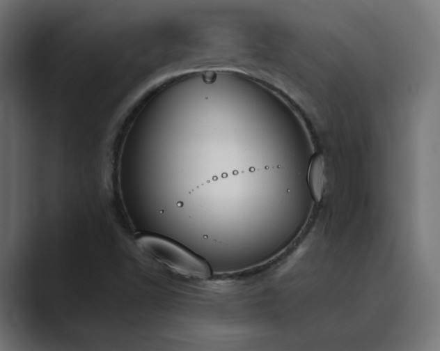 X0000089851502200706281241