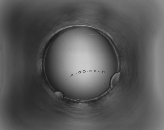 X0000089851503200706281241
