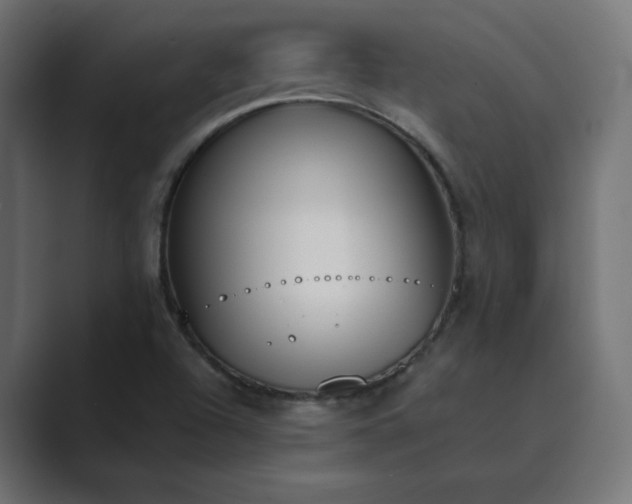 X0000089851504200706281241