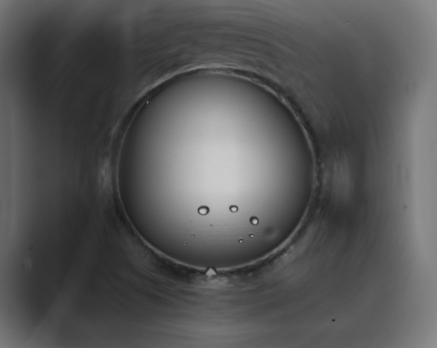 X0000089851505200706281241